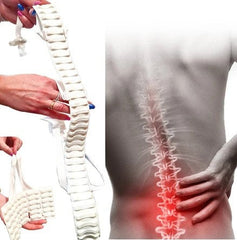 KOSMODISK - protiv bolova u leđima