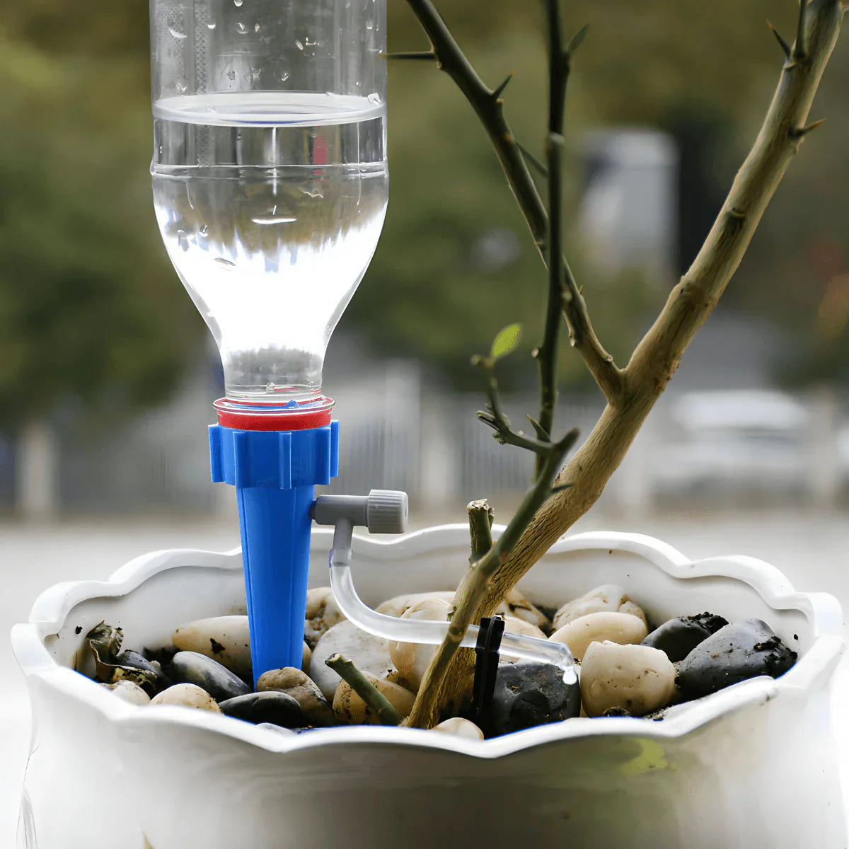 Sistem kap po kap za zalivanje cveća